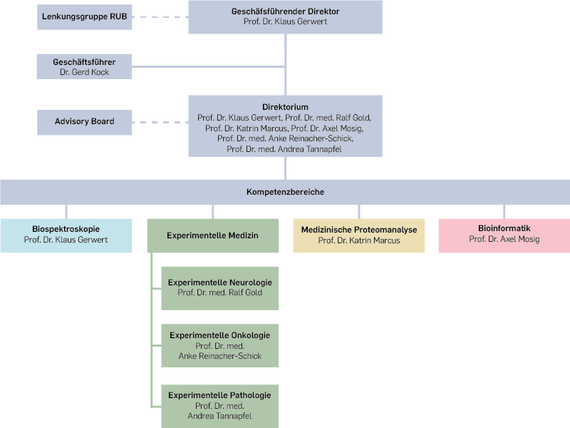 Organigram